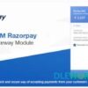 razorpay payment gateway for perfex crm