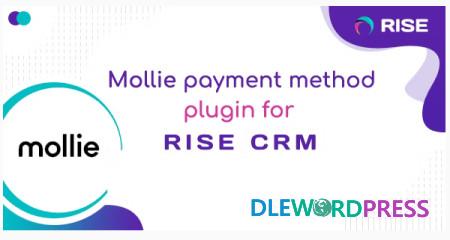 Mollie v1.0 - payment method for RISE CRM - nulled 3 Mollie