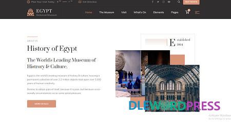 Egypt - Museum & Exhibition WordPress Theme v2.0 3 Egypt