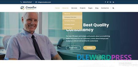 Consultox - Consulting Business WordPress Theme v2.4 3 Consultox