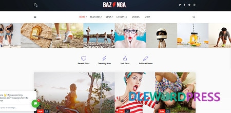 Bazinga | Modern Magazine & Viral Blog WordPress Theme v1.1.6