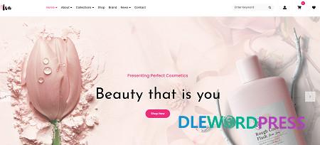 Iva – Beauty Cosmetics Shop WordPress Theme v2.8