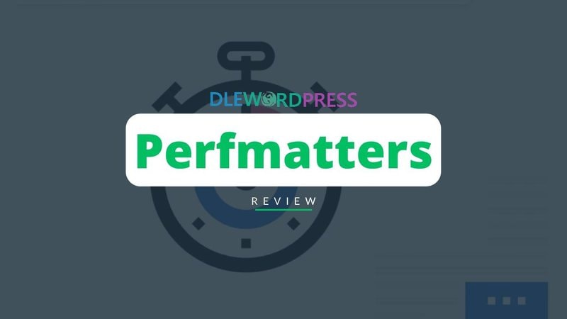 Perfmatters Review